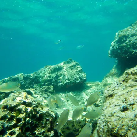 Appartement Milica Garden Prvic Sepurine