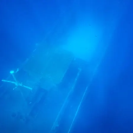 Milica Garden Appartement Prvic Sepurine