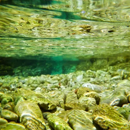 Milica Garden Appartement *