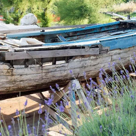 Milica Garden アパート *