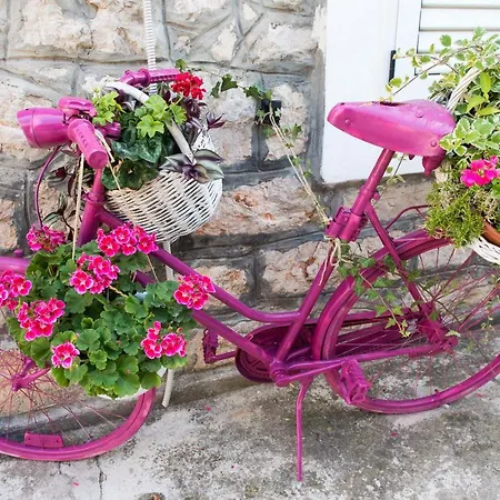 Appartement Milica Garden *