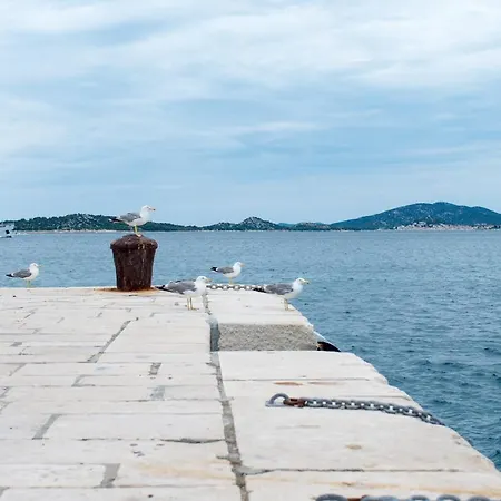 Milica Garden Appartement Prvic Sepurine