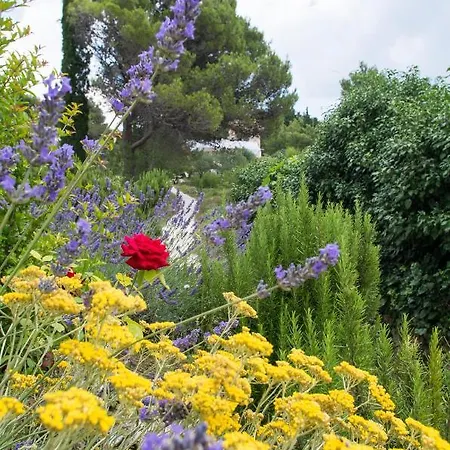 Apartment Milica Garden