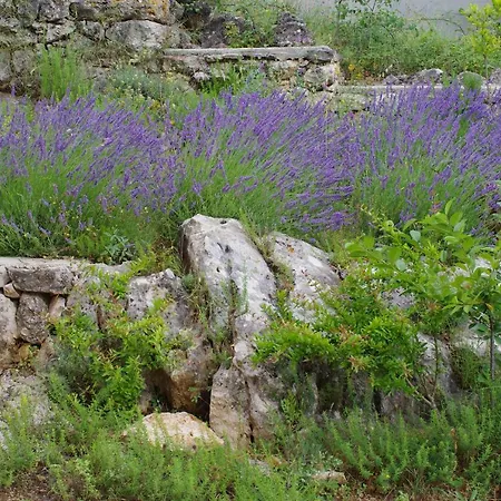 Milica Garden * Prvic Sepurine