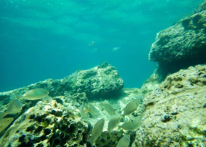 Appartement Milica Garden Prvic Sepurine