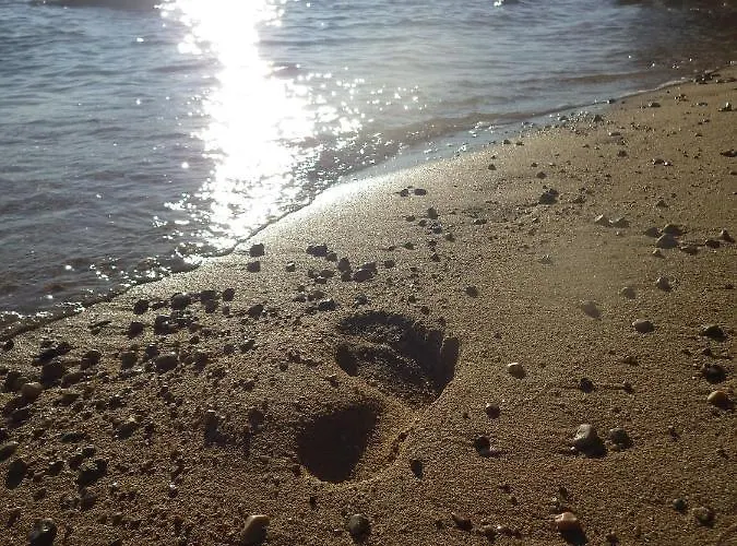 Appartement Milica Garden Prvic Sepurine