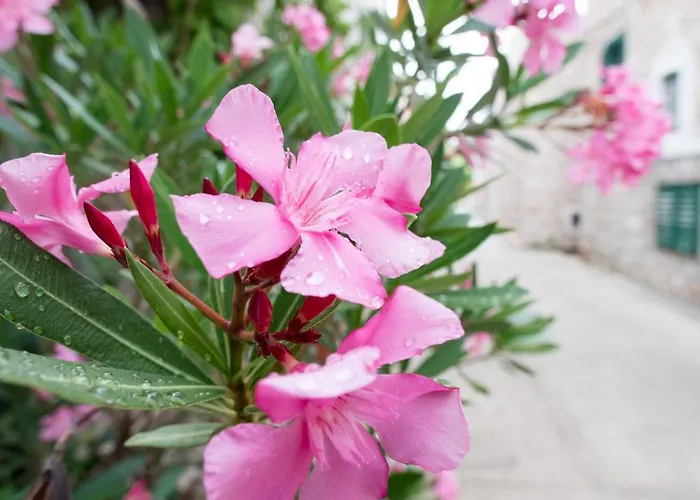 Appartement Milica Garden Prvic Sepurine