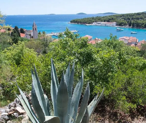 Milica Garden Prvic Sepurine