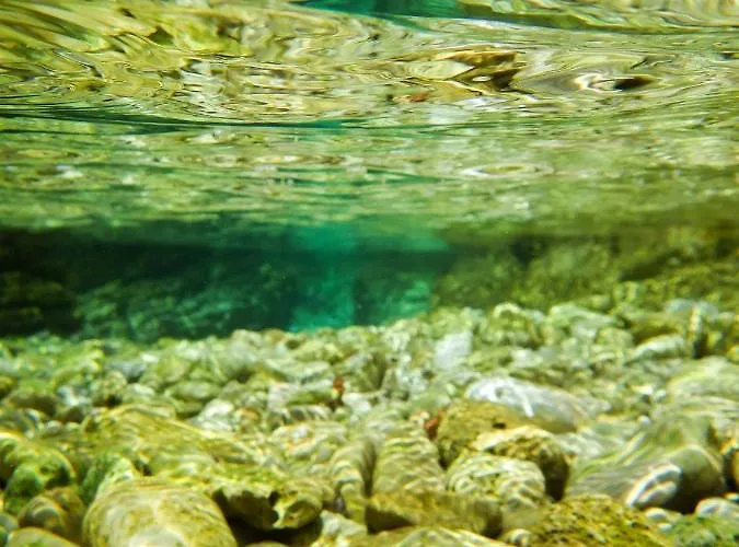 Milica Garden Appartement *