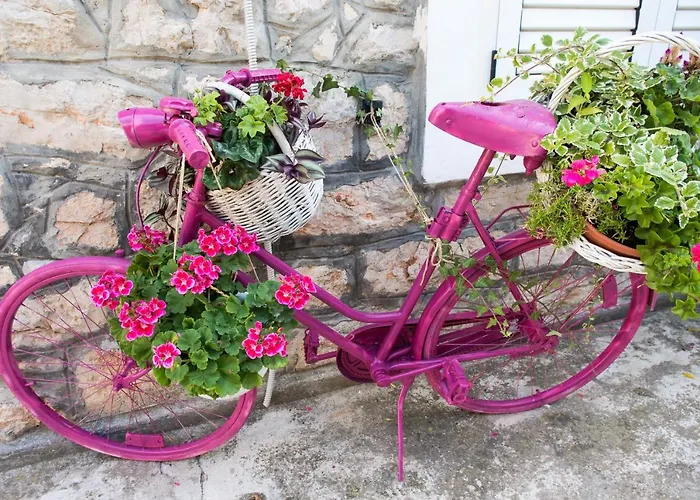 Appartement Milica Garden *