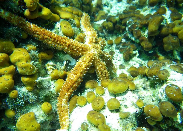 Appartement Milica Garden *