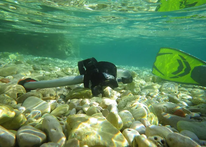 Milica Garden * Prvic Sepurine