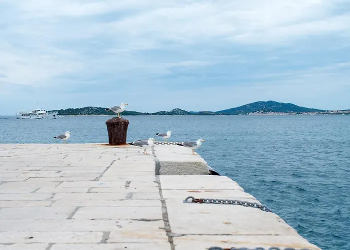 Milica Garden Appartement Prvic Sepurine