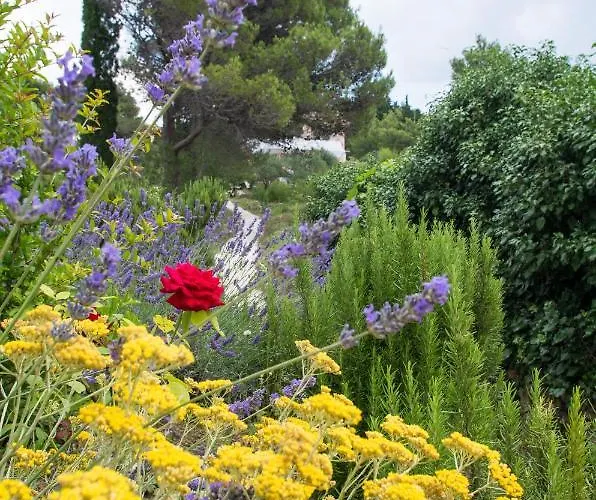 Appartement Milica Garden