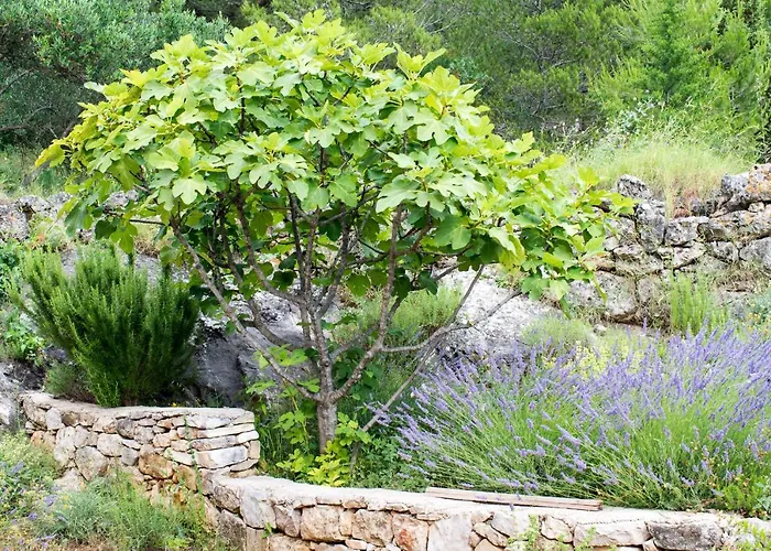 Milica Garden Appartement *