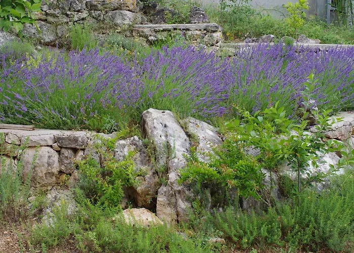 Milica Garden * Prvic Sepurine